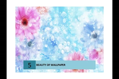 Beautiful Mobile Wallpapers   Download Mobile Phone Beautiful ...