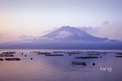 Bing Bing Wallpapers 22499   Desktop Wallpapers   System Wallpapers