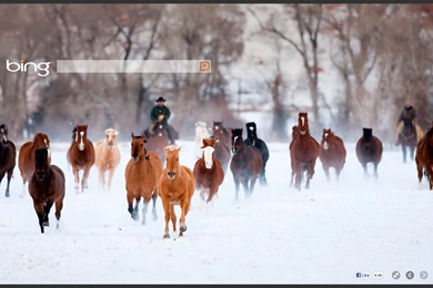 IdeasFTW: Bing Desktop For Mac