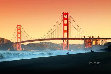 Microsoft bing desktop wallpaper 169 42590 Desktop Wallpapers ...