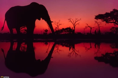 49038_1600x1200 wallpaper cb1330012992.jpg