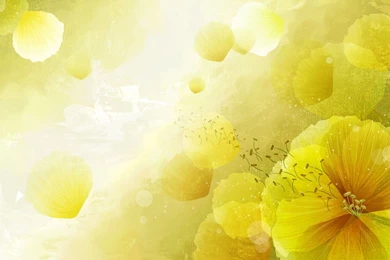 Yellow Flower Wallpapers   Wallpapers Cave