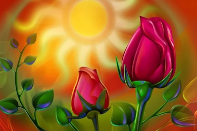 Trololo Blogg: Rose Wallpapers Downlod