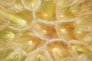 Large Wallpapers — Free Full HD Wallpaper. Widescreen HQ Desktop ...