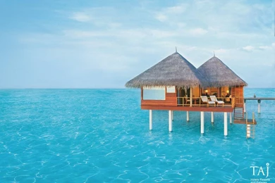 Taj Holidays : Taj Hotels   Resorts   Palaces