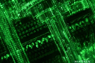 Matrix Reloaded Wallpapers And Images Wallpapers, Pictures, Photos