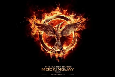 The Hunger Games Mockingjay Part 1 Wallpaper 1024x640.jpg