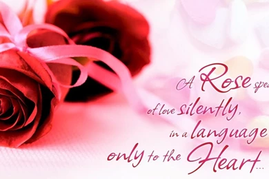 Rose Day Images Pictures Wishes Wallpapers Pics Photos