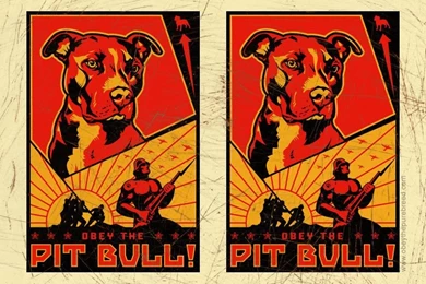 PIT BULL : Obey The Pure Breed! The Dog Revolution