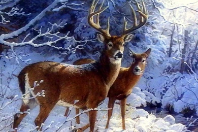 Dogs: PUPPY ANIMALS DOGS ANIMAL DN Free Desktop Backgrounds For HD ...