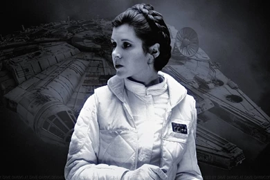 Carrie Fisher Princess Leia Paint By Dave Daring On DeviantArt