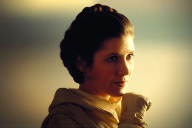 Carrie Fisher Princess Leia XXIII By Dave Daring On DeviantArt