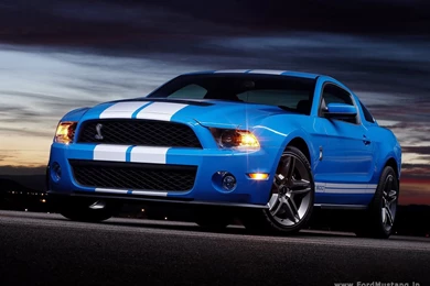 2010 Ford Mustang Shelby GT500 Convertible 41243523 Image ...