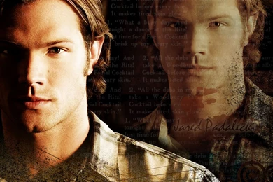 Jared Padalecki   Jared Padalecki Wallpapers (7197484)   Fanpop
