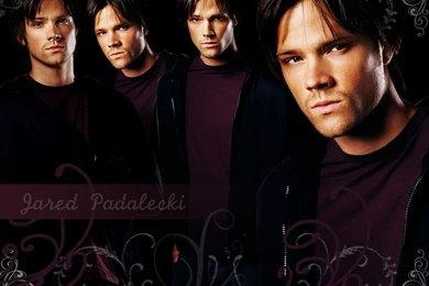 Jared Padalecki   Supernatural Wallpapers (6493016)   Fanpop