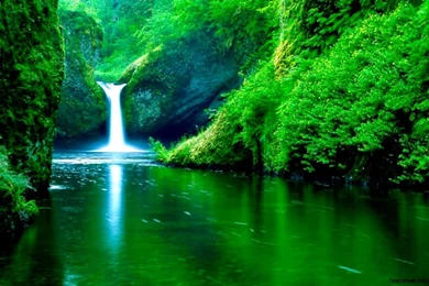 Live Wallpapers For Iphone 4