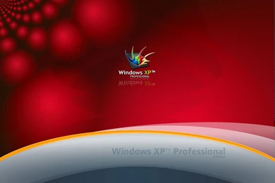 Computer: Windows XP Professional, Picture Nr. 11044
