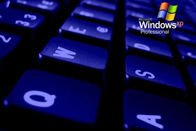 Windows XP Professional Blue Keyboard Logo