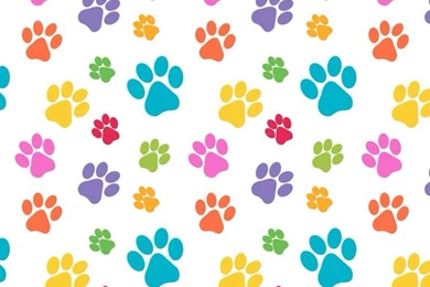 Cute Iphone 5 Wallpapers.