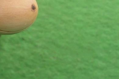 640x1136 Cute Cow Iphone 5 Wallpapers