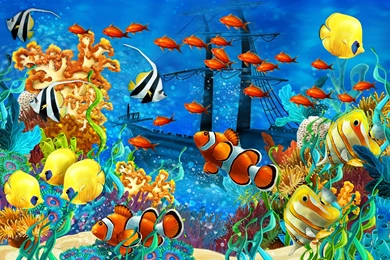 Fish Wallpapers
