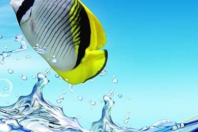 iPhone 5s Wallpapers