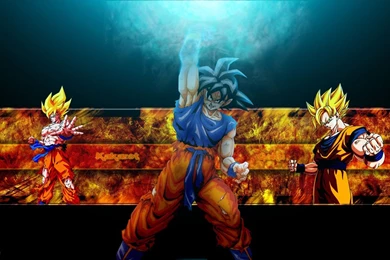 Dragon Ball Z Wallpapers Goku Wallpapers   165570