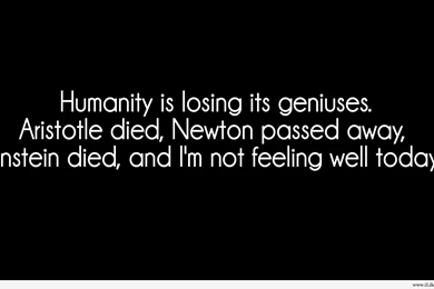 Top Funny Facts Quotes And Sayings Hd Wallpapers