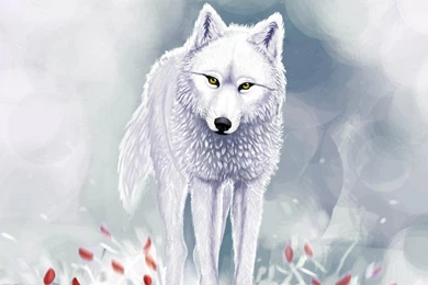 White Wolf   (