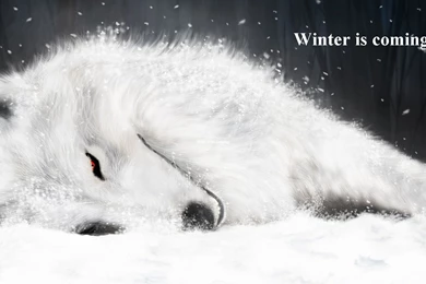 Winter Is Coming Computer Wallpapers, Desktop Backgrounds ...