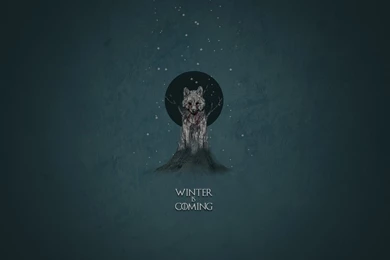 House Stark – Game Of Thrones 4