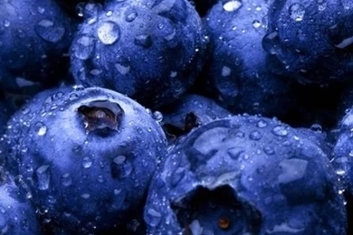 Free HD Wallpapers For PC, IPhone, Android, Mac Freemake