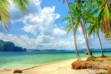 YouWall   Beautiful Palm Beach Wallpapers   Wallpaper,wallpapers ...