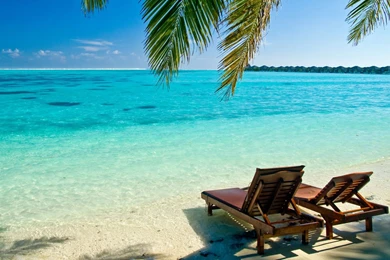 Awesome Beautiful Beach View MN8