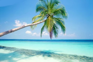 Tropical Beach Wallpapers 125, Free Wallpapers, Free Desktop ...