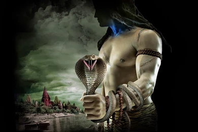 Lord Shiva Catching Naga Hd Wallpapers Free