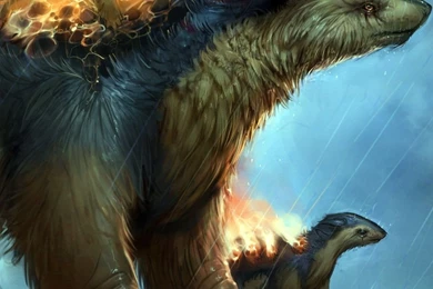 Flaming Creatures In The Rain Mobile Wallpapers 2913