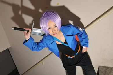 Dragon Ball Z Cosplay Trunk