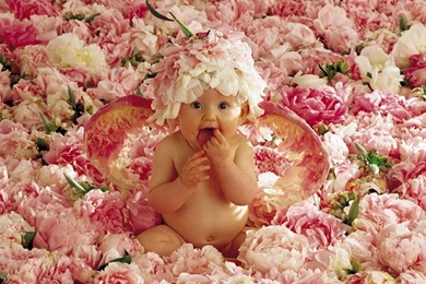 Desktop Wallpapers » Babies Backgrounds » Sweet Baby In The ...