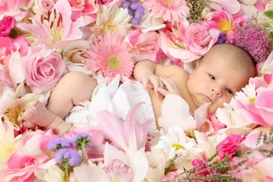 Desktop child baby flowers.jpg