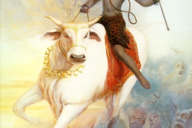 Lord shiva ride on bull hd wallpaper for desktop