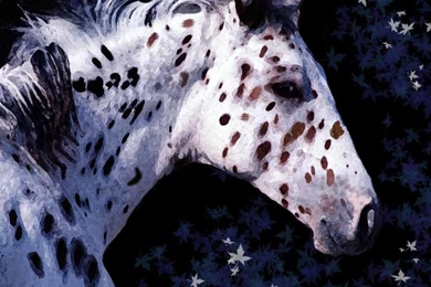 Appaloosa: My Favorite Horse By Angela239 On DeviantArt