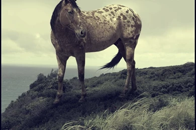 Browsing Artisan Crafts On DeviantArt