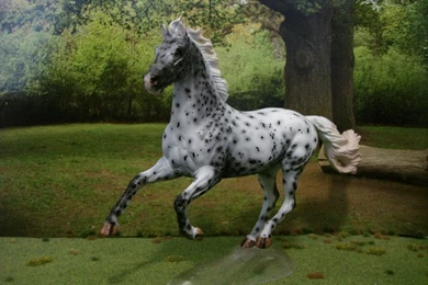 Custom Breyer Ideal To Appaloosa By DawnImagination On DeviantArt