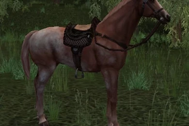 Dark Age Of Camelot   Play The Award Winning RvR MMO RPG!