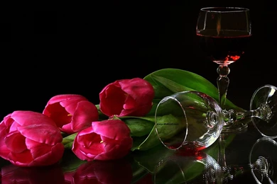 Latest Flowers Wallpapers HD Wallpapers Pretty