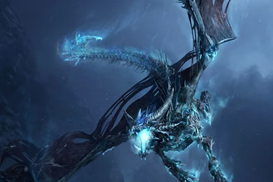 Dragon Wallpapers 230967