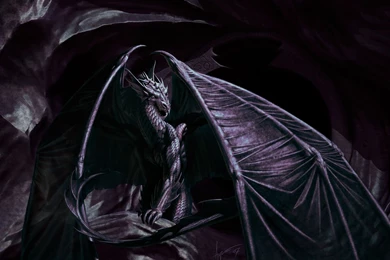 Black Dragon Cool Backgrounds Wallpapers 10132   Amazing Wallpaperz