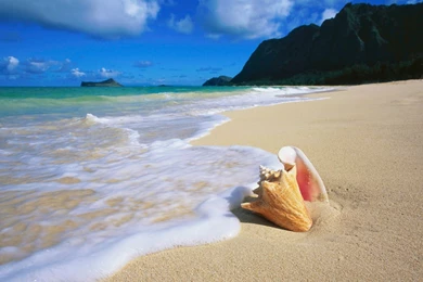 Beach HD Wallpaper1.jpg