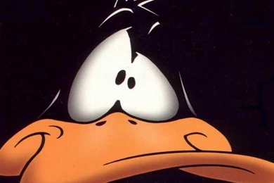 Daffy Duck Wallpapers   (